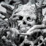 human skull decors